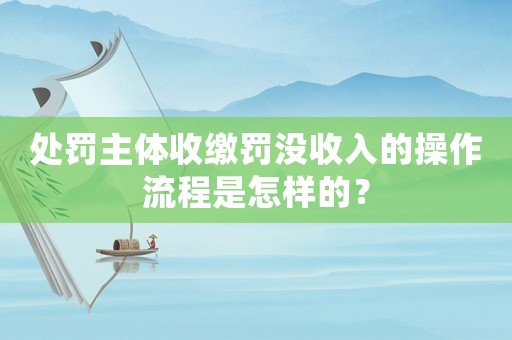 處罰主體收繳罰沒收入的操作流程是怎樣的？