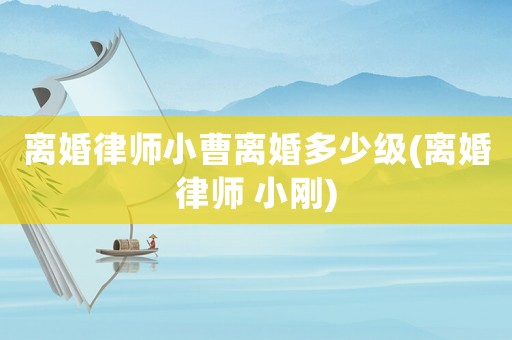 離婚律師小曹離婚多少級(離婚律師 小剛)