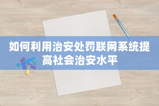 如何利用治安處罰聯(lián)網系統(tǒng)提高社會治安水平