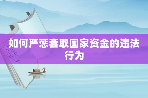 如何嚴懲套取國家資金的違法行為