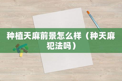 種植天麻前景怎么樣（種天麻犯法嗎）