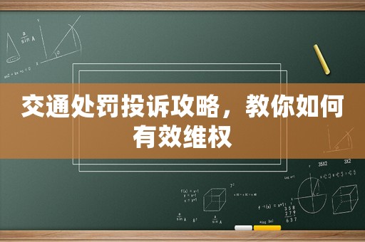 交通處罰投訴攻略，教你如何有效維權(quán)