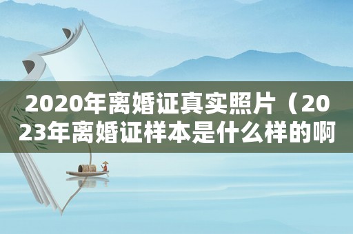 2020年離婚證真實照片（2023年離婚證樣本是什么樣的啊）