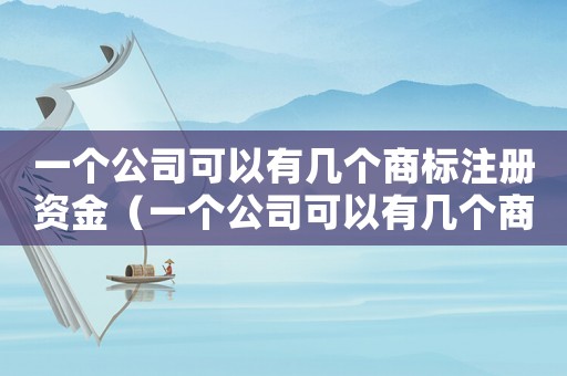 一個(gè)公司可以有幾個(gè)商標(biāo)注冊(cè)資金（一個(gè)公司可以有幾個(gè)商標(biāo)注冊(cè)）