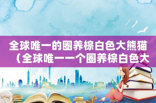 全球唯一的圈養(yǎng)棕白色大熊貓（全球唯一一個圈養(yǎng)棕白色大熊貓）