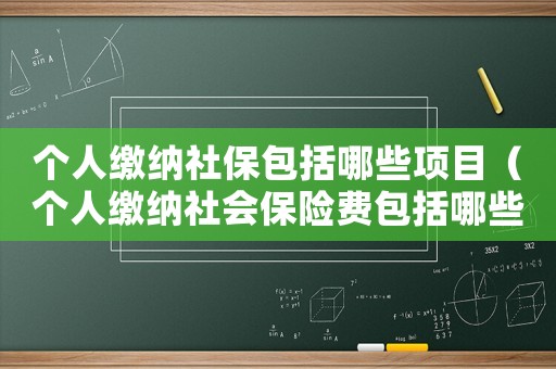 個人繳納社保包括哪些項目（個人繳納社會保險費包括哪些）