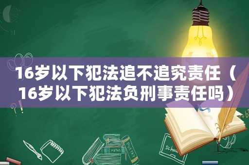 16歲以下犯法追不追究責任（16歲以下犯法負刑事責任嗎）