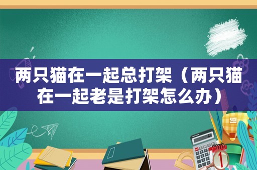 兩只貓在一起總打架（兩只貓在一起老是打架怎么辦）