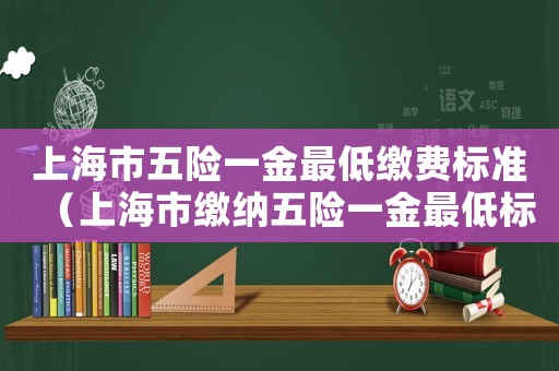 上海市五險一金最低繳費標準（上海市繳納五險一金最低標準）