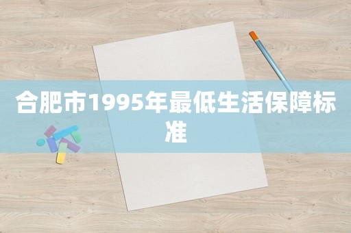 合肥市1995年最低生活保障標準