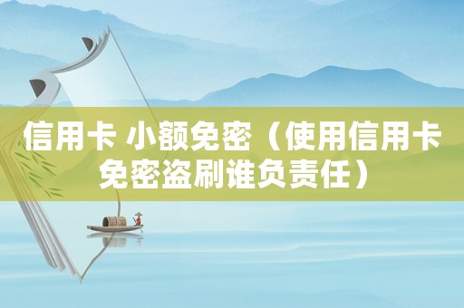 信用卡 小額免密（使用信用卡免密盜刷誰負(fù)責(zé)任）