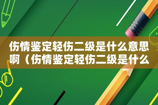 傷情鑒定輕傷二級是什么意思啊（傷情鑒定輕傷二級是什么意思）