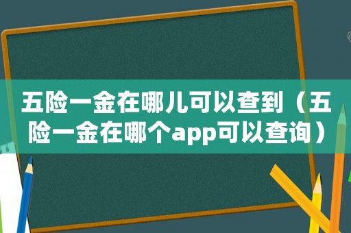 五險(xiǎn)一金在哪兒可以查到（五險(xiǎn)一金在哪個(gè)app可以查詢）