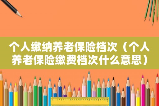 個人繳納養(yǎng)老保險檔次（個人養(yǎng)老保險繳費(fèi)檔次什么意思）