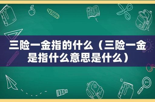三險一金指的什么（三險一金是指什么意思是什么）