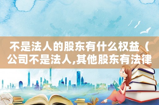 不是法人的股東有什么權益（公司不是法人,其他股東有法律責任嗎）
