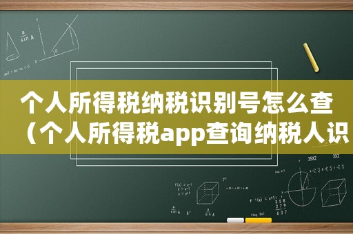 個人所得稅納稅識別號怎么查（個人所得稅app查詢納稅人識別號）