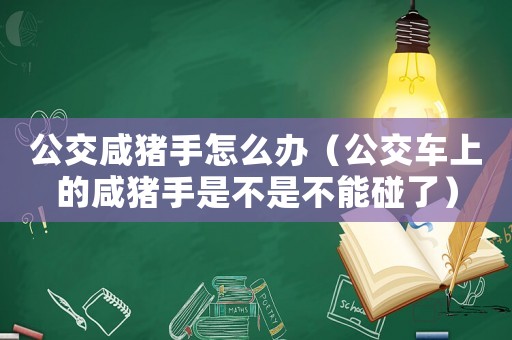 公交咸豬手怎么辦（公交車上的咸豬手是不是不能碰了）