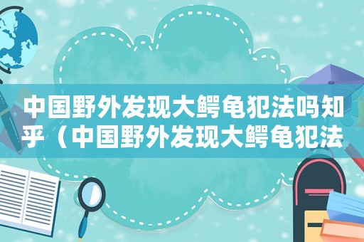 中國野外發(fā)現(xiàn)大鱷龜犯法嗎知乎（中國野外發(fā)現(xiàn)大鱷龜犯法嗎知乎）