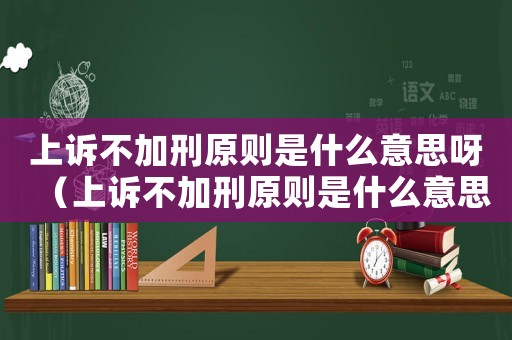 上訴不加刑原則是什么意思呀（上訴不加刑原則是什么意思呀）