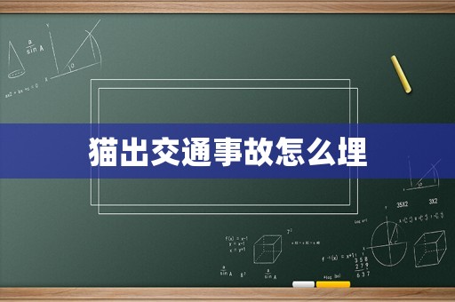 貓出交通事故怎么埋