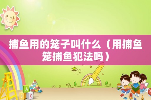捕魚用的籠子叫什么（用捕魚籠捕魚犯法嗎）