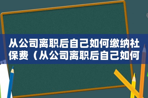 從公司離職后自己如何繳納社保費（從公司離職后自己如何繳納社保）