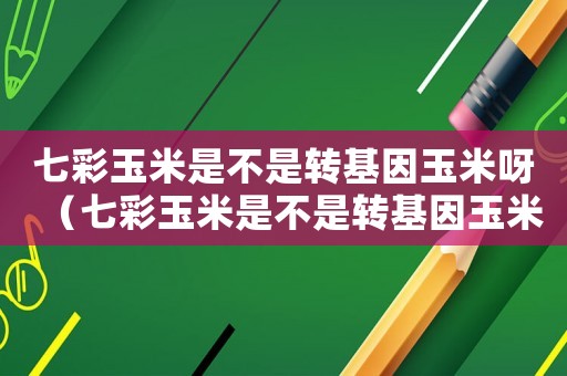 七彩玉米是不是轉(zhuǎn)基因玉米呀（七彩玉米是不是轉(zhuǎn)基因玉米）