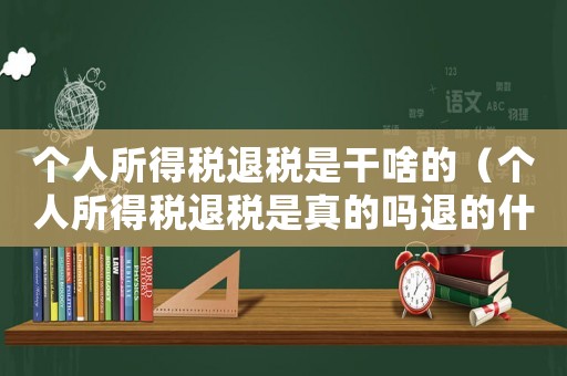 個(gè)人所得稅退稅是干啥的（個(gè)人所得稅退稅是真的嗎退的什么稅）