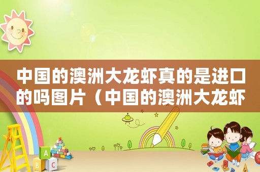 中國的澳洲大龍蝦真的是進口的嗎圖片（中國的澳洲大龍蝦真的是進口的嗎）