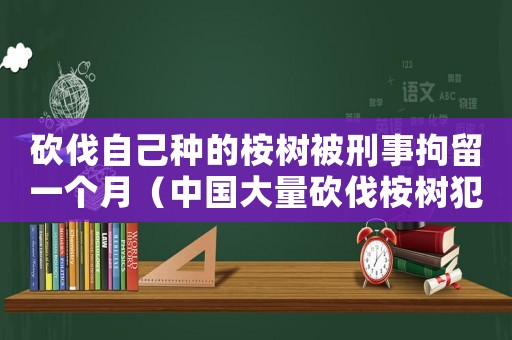 砍伐自己種的桉樹被刑事拘留一個月（中國大量砍伐桉樹犯法嗎知乎）