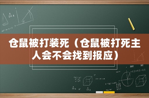 倉鼠被打裝死（倉鼠被打死主人會不會找到報應）