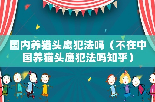 國內養貓頭鷹犯法嗎（不在中國養貓頭鷹犯法嗎知乎）