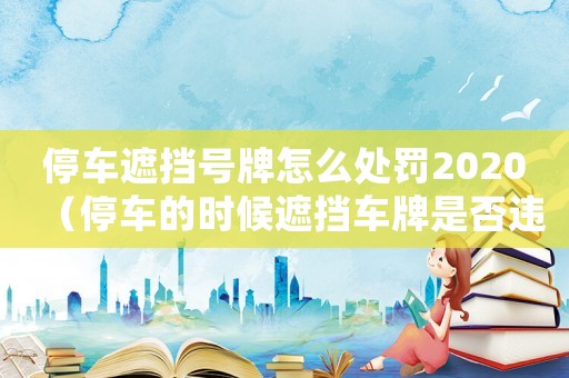 停車遮擋號牌怎么處罰2020（停車的時候遮擋車牌是否違法?）