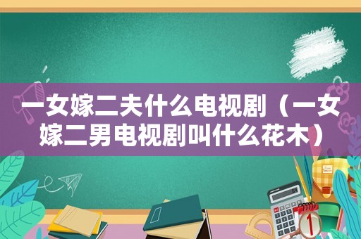 一女嫁二夫什么電視劇（一女嫁二男電視劇叫什么花木）