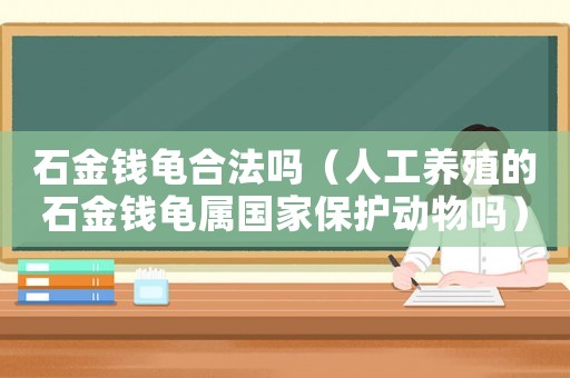 石金錢龜合法嗎（人工養殖的石金錢龜屬國家保護動物嗎）