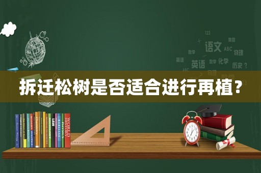 拆遷松樹是否適合進行再植？