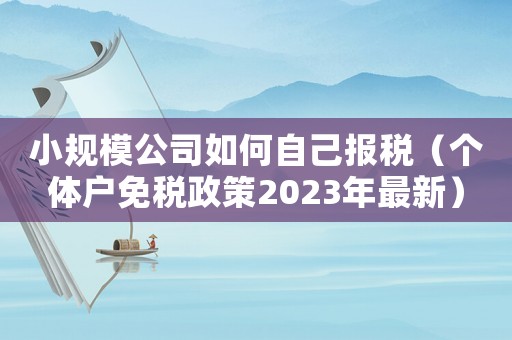 小規模公司如何自己報稅（個體戶免稅政策2023年最新）