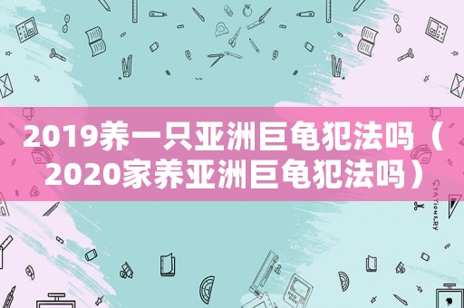 2019養一只亞洲巨龜犯法嗎（2020家養亞洲巨龜犯法嗎）