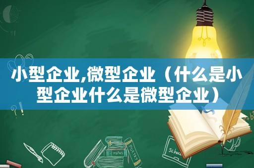 小型企業(yè),微型企業(yè)（什么是小型企業(yè)什么是微型企業(yè)）