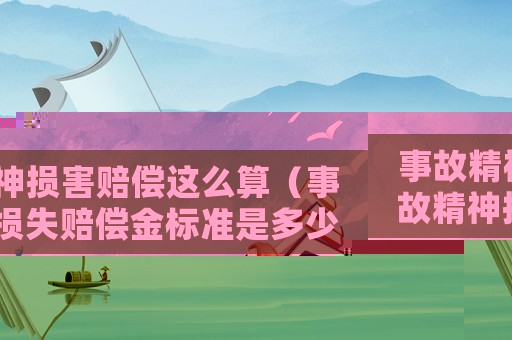事故精神損害賠償這么算（事故精神損失賠償金標(biāo)準(zhǔn)是多少）