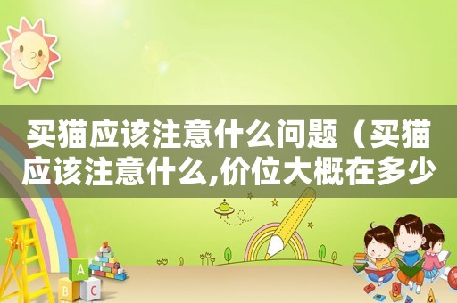 買貓應該注意什么問題（買貓應該注意什么,價位大概在多少）