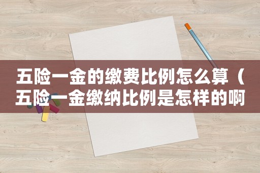 五險一金的繳費比例怎么算（五險一金繳納比例是怎樣的啊）