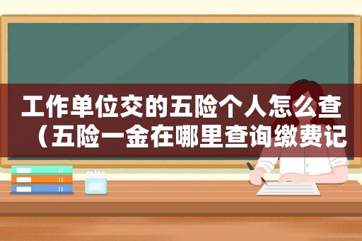 工作單位交的五險個人怎么查（五險一金在哪里查詢繳費記錄）