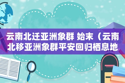 云南北遷亞洲象群 始末（云南北移亞洲象群平安回歸棲息地）