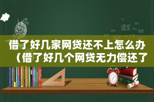 借了好幾家網貸還不上怎么辦（借了好幾個網貸無力償還了怎么辦）