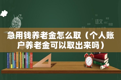 急用錢養(yǎng)老金怎么取（個(gè)人賬戶養(yǎng)老金可以取出來嗎）