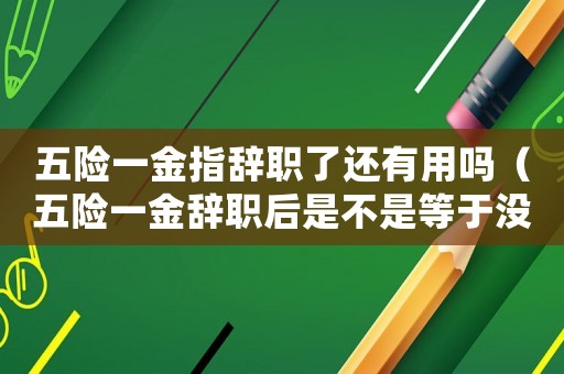 五險一金指辭職了還有用嗎（五險一金辭職后是不是等于沒了）