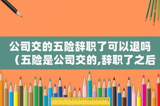 公司交的五險辭職了可以退嗎（五險是公司交的,辭職了之后怎么辦）