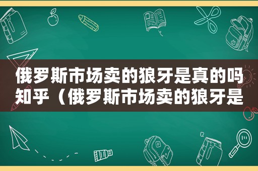 俄羅斯市場賣的狼牙是真的嗎知乎（俄羅斯市場賣的狼牙是真的嗎）